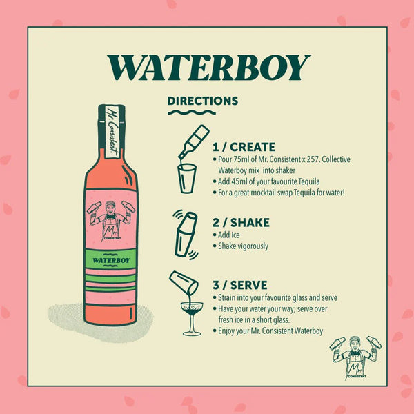 WATERBOY (Watermelon Margarita) - Cocktail Mixer